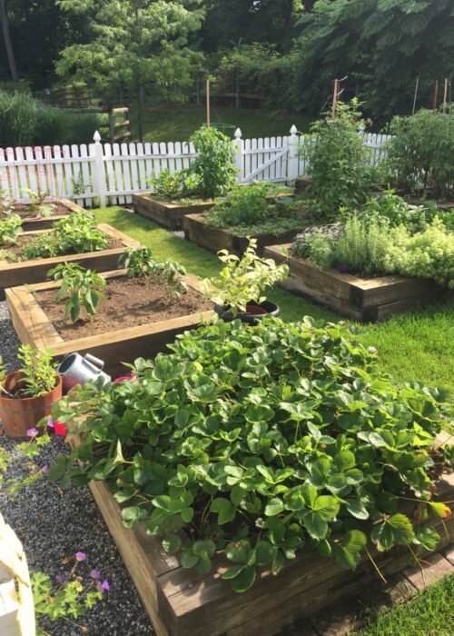 Hardscaping and Landscaping Design and Build Services in Delaware and Pennsylvania