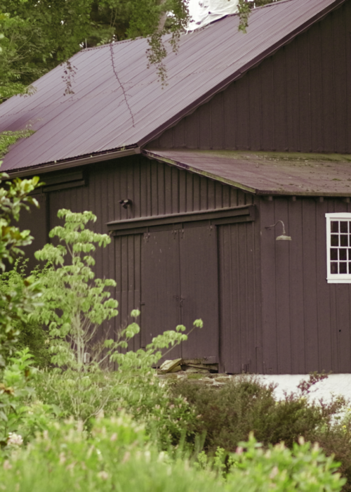 Pollinator and native gardening company in Northern Delaware and Southeastern Pennsylvania. Free Estimates Available!