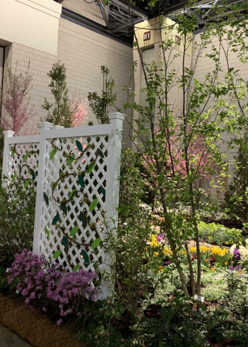 2019 PHS Flower Show 1