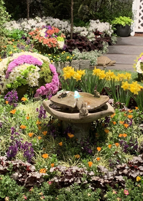 2019 PHS Flower Show 2