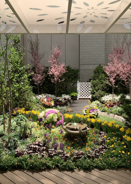 2019 PHS Flower Show 4