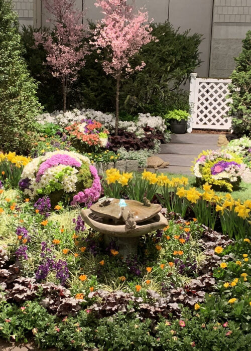 2019 PHS Flower Show 5