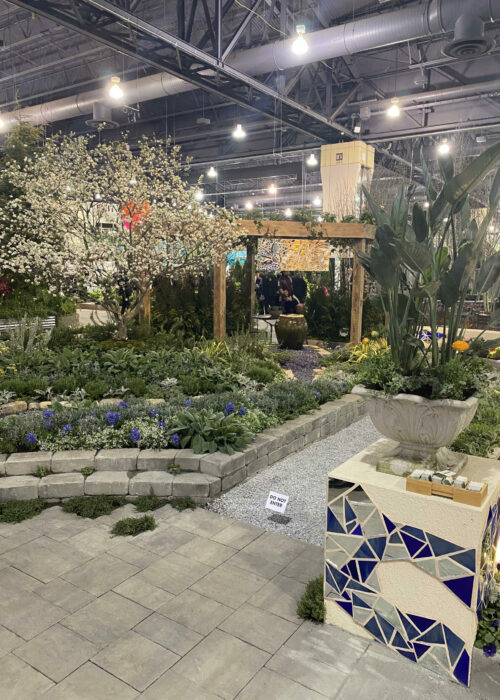 2020 PHS Flower Show 1