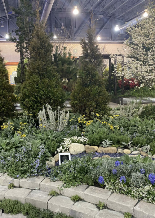2020 PHS Flower Show 2