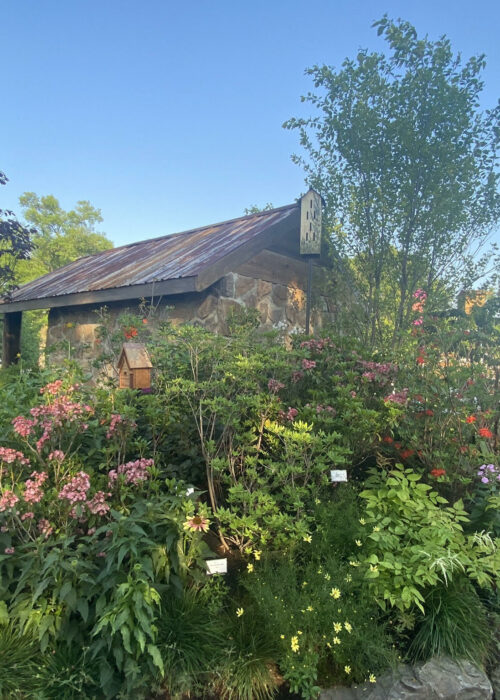 2021 PHS Flower SHow 8