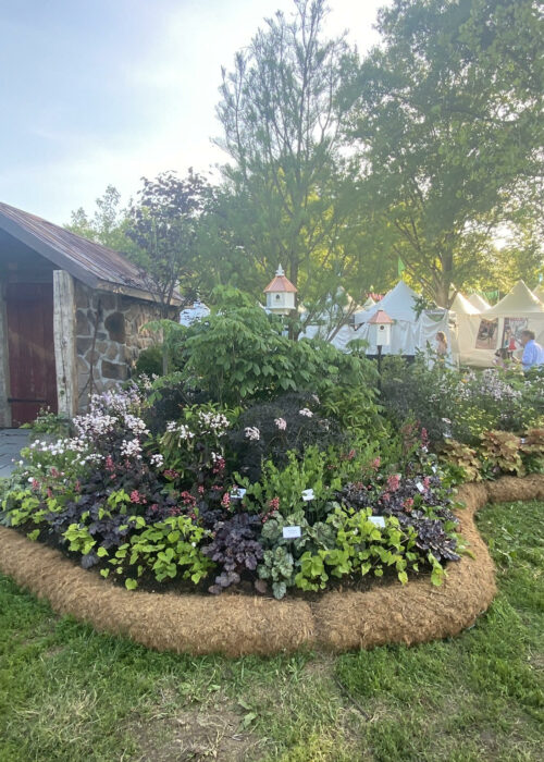 2021 PHS Flower Show 6