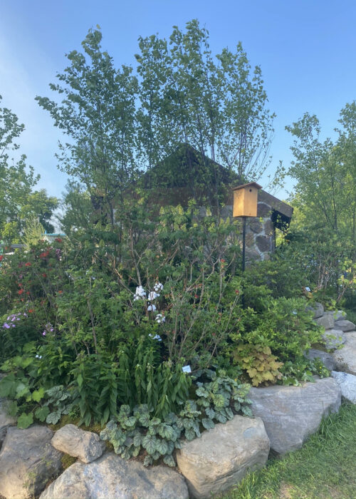 2021 PHS Flower Show 7
