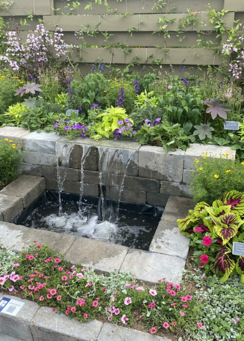 PHS Flower Show 2022 3