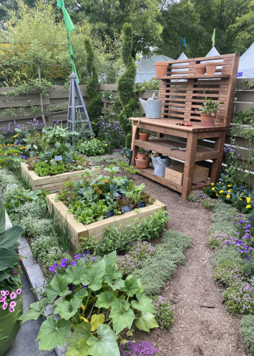 PHS Flower Show 2022 5
