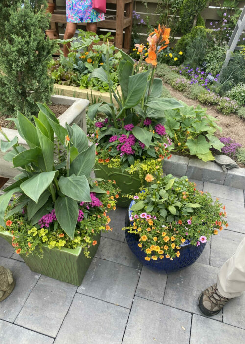 PHS Flower Show 2022 6