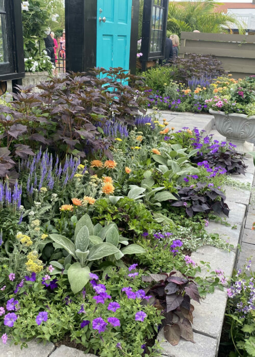 PHS Flower Show 2022 7